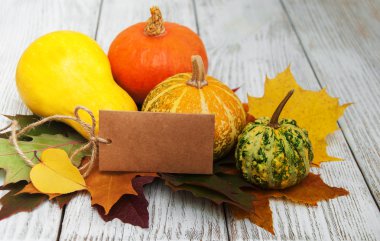 kabaklar ve yaprakları