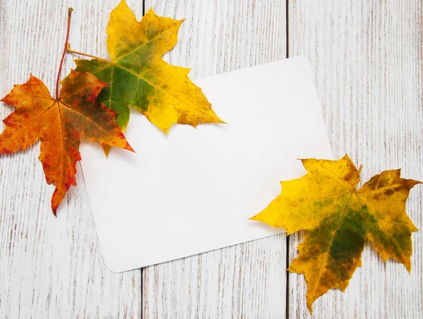 Hojas coloridas de otoño con tarjeta — Foto de Stock