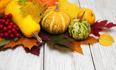 kabaklar ve yaprakları