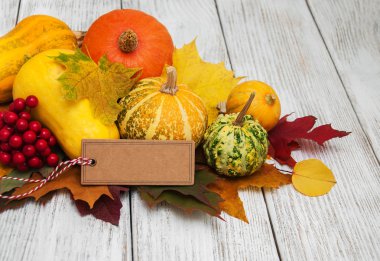 kabaklar ve yaprakları