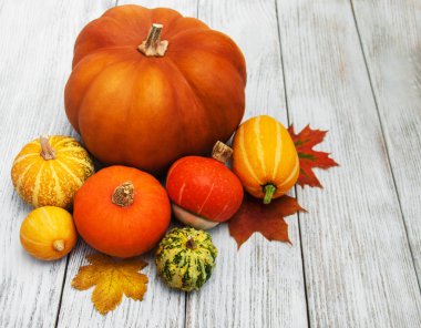 kabaklar ve yaprakları