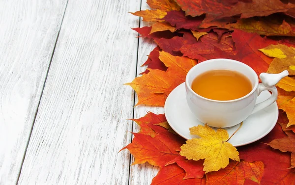 Hot tea and autumn leaves — Stock Photo, Image