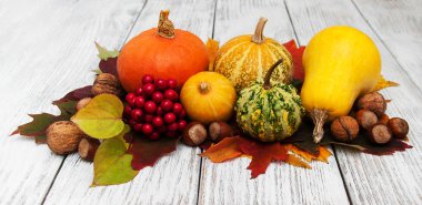 kabak ve yaprakları