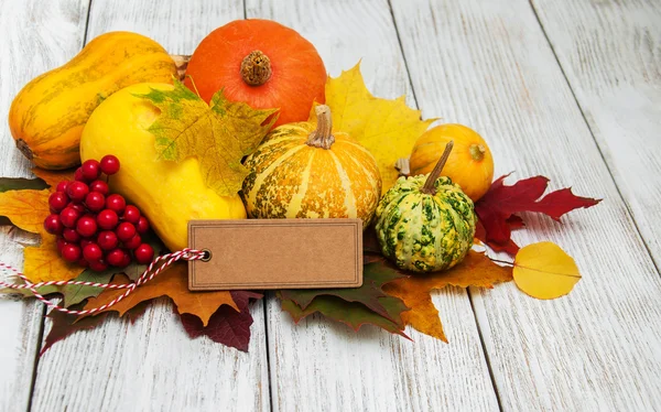 kabaklar ve yaprakları