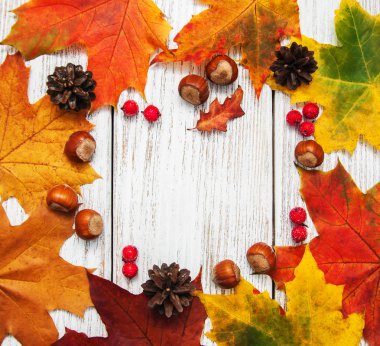 Renkli sonbahar yaprakları ve fındık