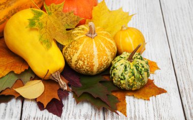 kabaklar ve yaprakları