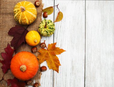 kabak ve yaprakları