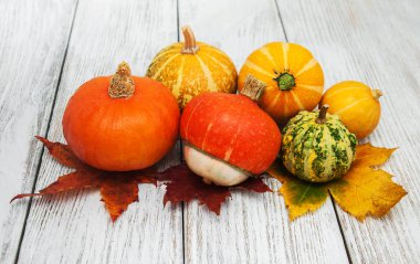 kabaklar ve yaprakları