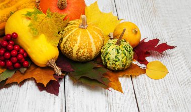 kabaklar ve yaprakları