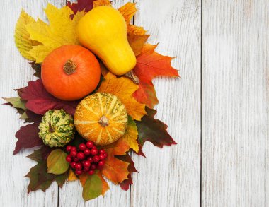 kabak ve yaprakları