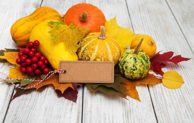 kabaklar ve yaprakları