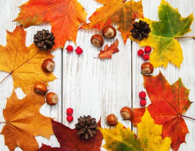 Renkli sonbahar yaprakları ve fındık