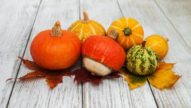 kabaklar ve yaprakları