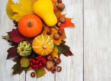 kabak ve yaprakları