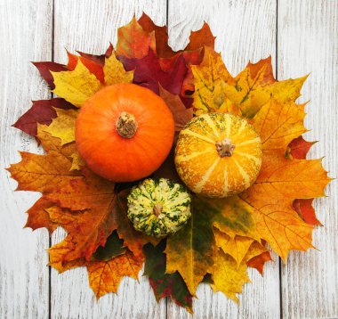 kabaklar ve yaprakları