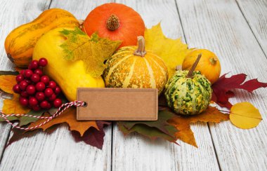 kabaklar ve yaprakları