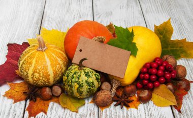 kabaklar ve yaprakları