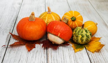 kabaklar ve yaprakları