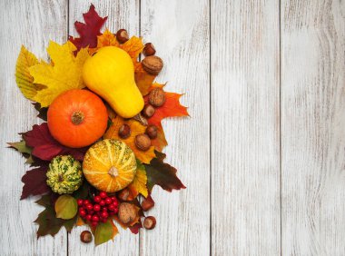 kabak ve yaprakları