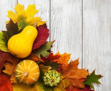 kabaklar ve yaprakları