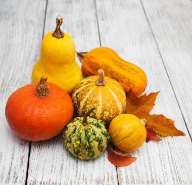 kabak ve yaprakları