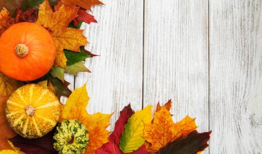 kabak ve yaprakları