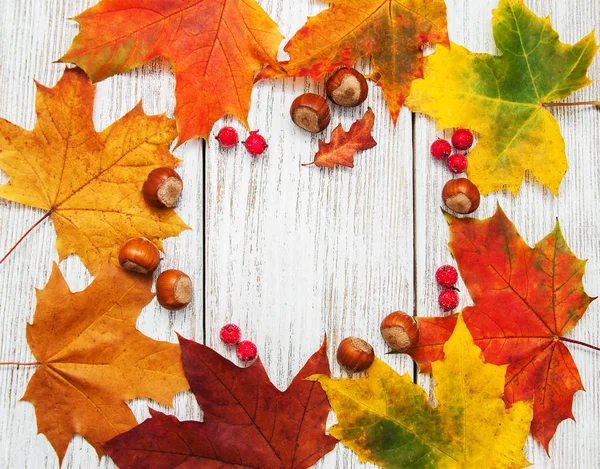 Renkli sonbahar yaprakları ve fındık