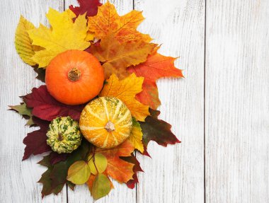 kabak ve yaprakları