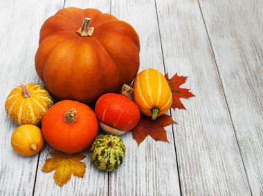 kabaklar ve yaprakları