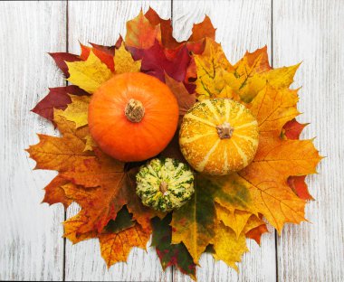 kabaklar ve yaprakları