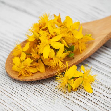 Saint-John's-wort kaşık içinde