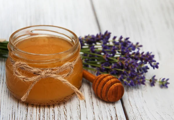 꿀, 라벤더 꽃 — 스톡 사진