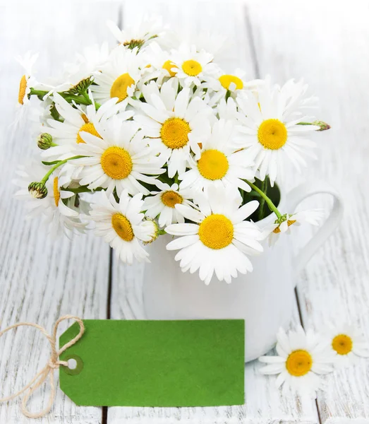 Daisies in vase — Stock Photo, Image