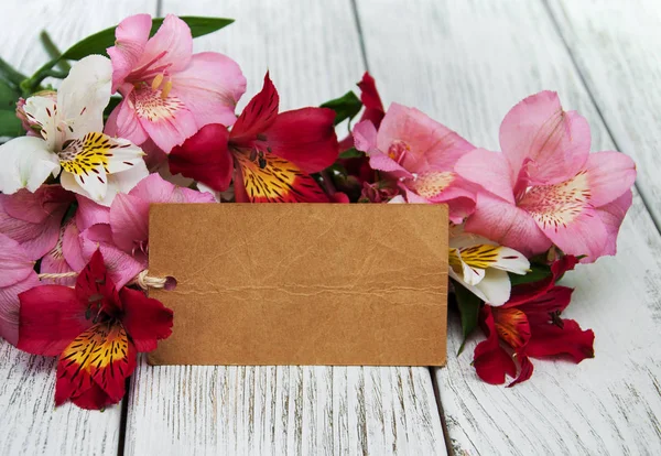 Papírový karton s květy kosatců — Stock fotografie