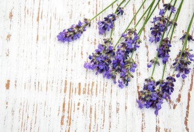 bir masaya lavanta çiçek