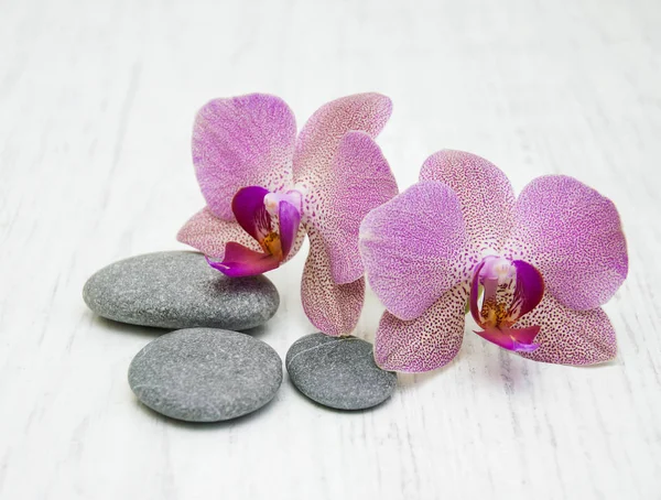 Orchids and massage stones — Stock Photo, Image