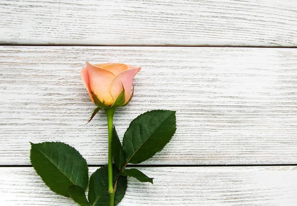 Rose rose sur fond bois — Photo