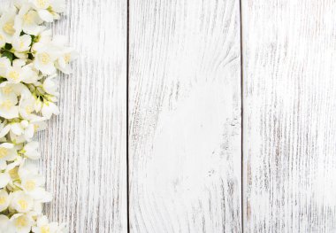 Yasemin çiçekleri ile sınır