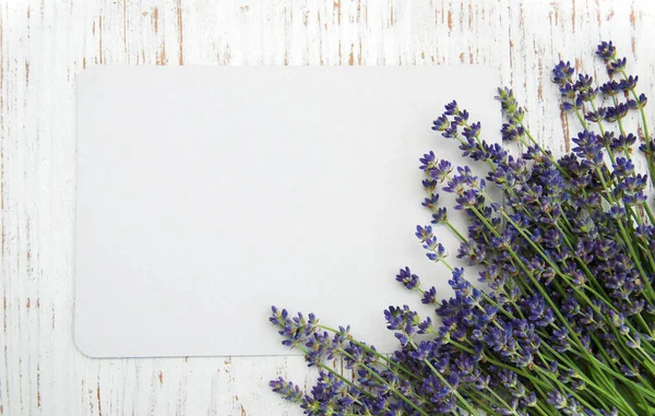 Lavender flowers with card — Stock Photo, Image