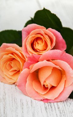 bir tablo üzerinde pembe güller