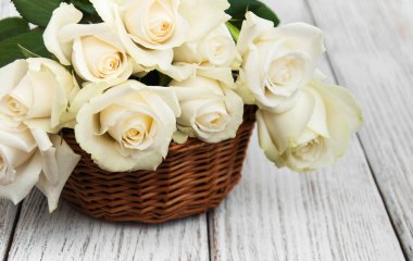 Sepet içinde beyaz gül