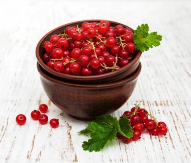 taze kırmızı kuş üzümü