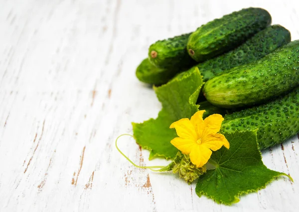 Fresh cucumbers with leaves — Stock Photo, Image