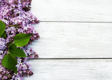 Bir masaya Lila çiçek