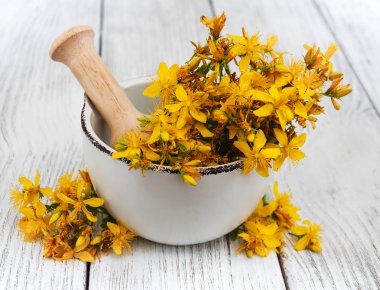 Saint-John's-wort harç içinde