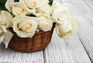 Sepet içinde beyaz gül