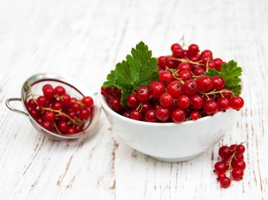 taze kırmızı kuş üzümü