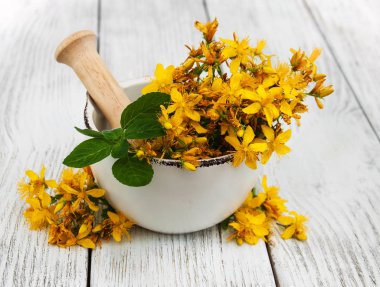 Saint-John's-wort harç içinde