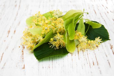 Bir masaya ıhlamur çiçek