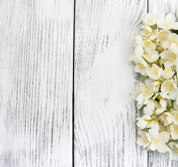 Frontera con flores de jazmín — Foto de Stock